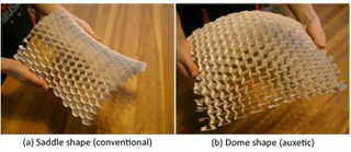 Illustration for article titled The Seashell-Inspired Material Creating a New Wave of Safety Gear